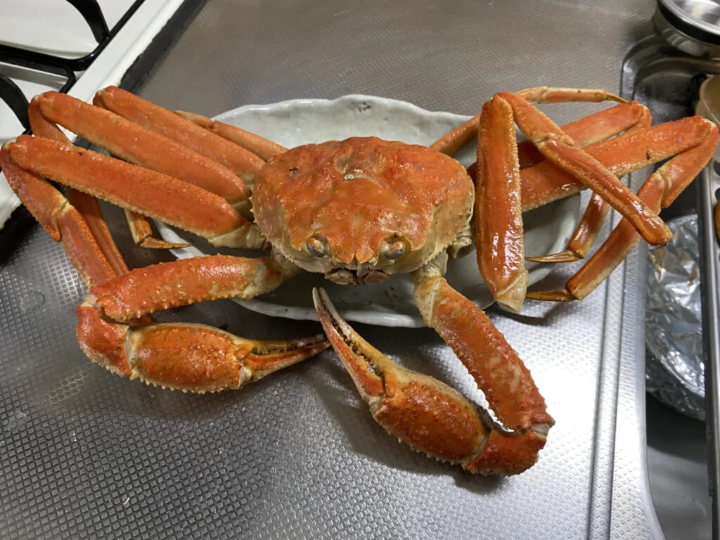 ズワイガニは上品で甘みのある味わいが特徴！おすすめのカニ通販でお取り寄せしてほしい