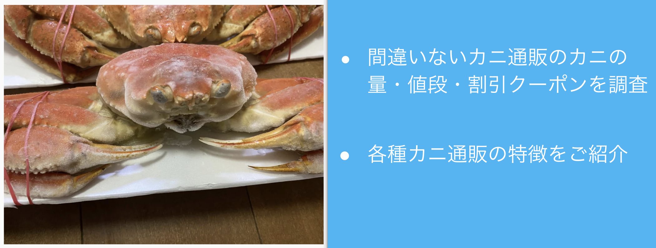 間違いないカニ通販12月版！楽天や失敗しない国産蟹を食べれるサイトを調査